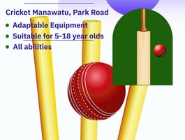 Cricket Manawatu have a go sessions